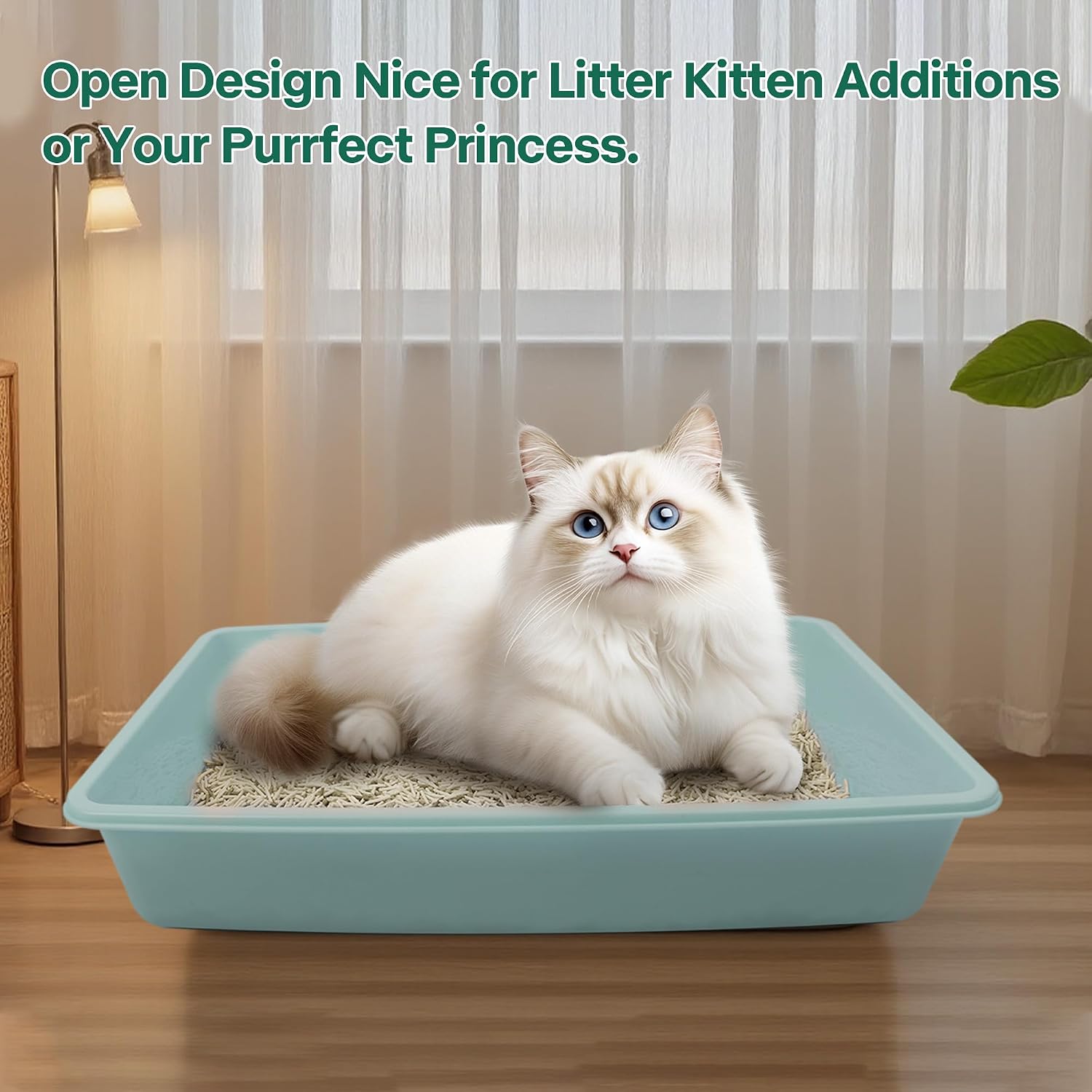 Small Cat Litter Box,14.3 x 10.6 x 2.5 Kitten Litter Box Starter Kit,Low Entry Baby Kitten Training Litter Box with Scoop,Bowls,Cat Mouse Toy and Ball Toy,First Catty Owner Essentials (Green) - view 6