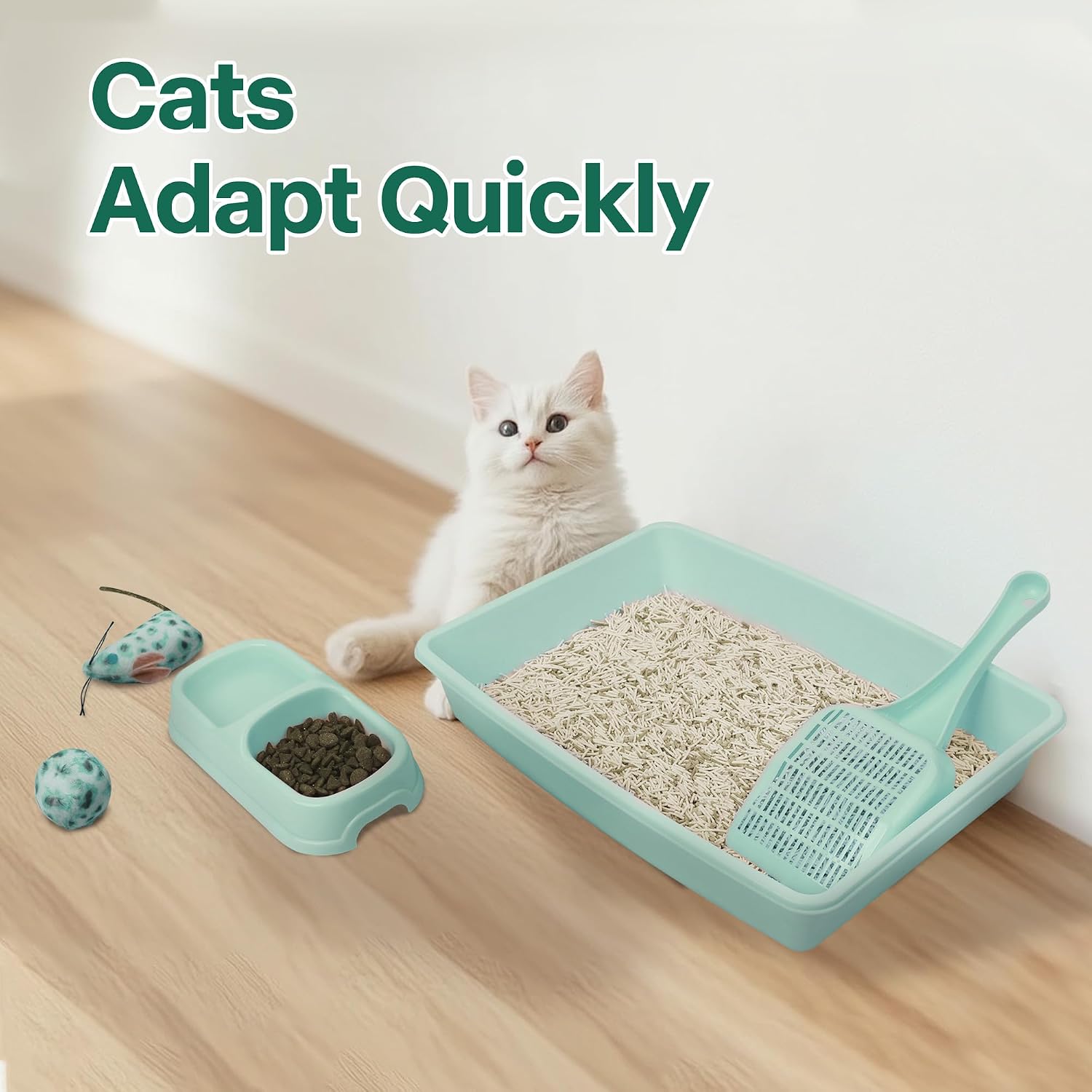 Small Cat Litter Box,14.3 x 10.6 x 2.5 Kitten Litter Box Starter Kit,Low Entry Baby Kitten Training Litter Box with Scoop,Bowls,Cat Mouse Toy and Ball Toy,First Catty Owner Essentials (Green) - view 4