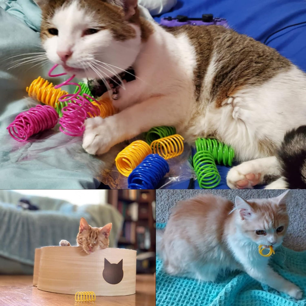 Cat Spring Toys 60 Pack, Colorful Springs Cat Toys Interactive Cat Toy Plastic Coil Spiral Springs Creative Cat Toy to Kill Time and Keep Fit Heavy Plastic Spring for Indoor Cats Kitten Toys - view 6