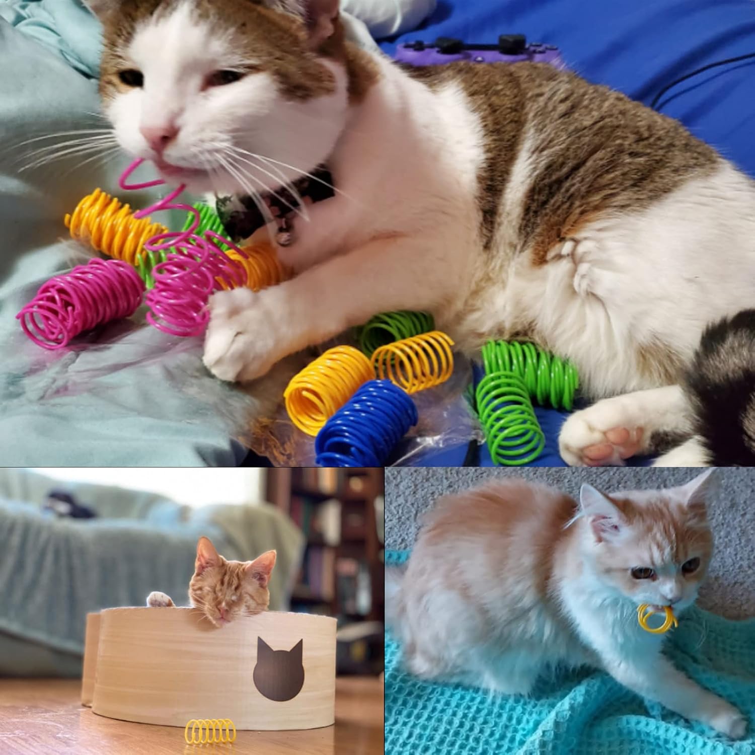 Cat Spring Toys 60 Pack, Colorful Springs Cat Toys Interactive Cat Toy Plastic Coil Spiral Springs Creative Cat Toy to Kill Time and Keep Fit Heavy Plastic Spring for Indoor Cats Kitten Toys - view 6