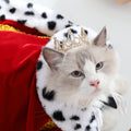 Pearl Rhinestone Pet Crown for Dogs & Cats, Gold, S | Full Round Dog/Cat Crown, Rolyal Family Costume, Pet hair Accessories