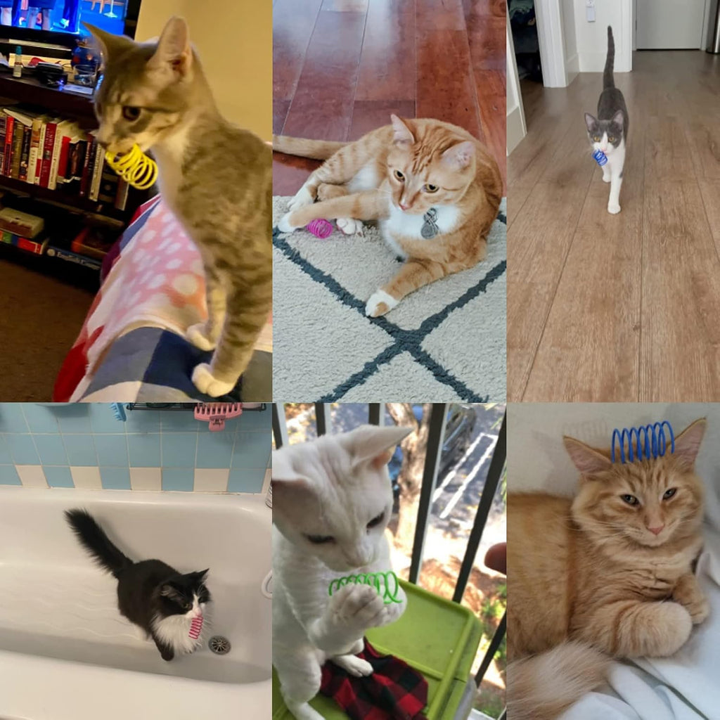 Cat Spring Toys 60 Pack, Colorful Springs Cat Toys Interactive Cat Toy Plastic Coil Spiral Springs Creative Cat Toy to Kill Time and Keep Fit Heavy Plastic Spring for Indoor Cats Kitten Toys - view 8