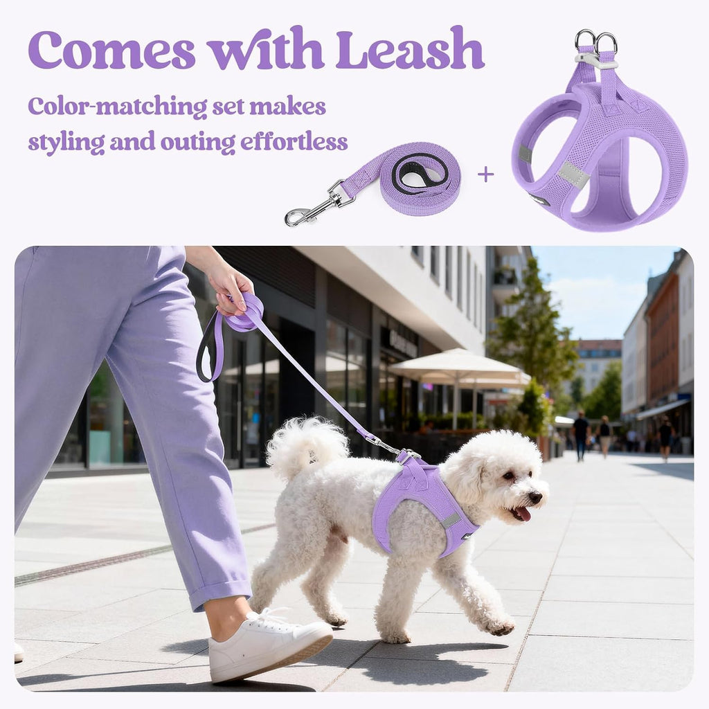 Dog Harness Small Sized and Leash Set, Step-in Puppy Pet Vest | Light, Soft, Breathable Air Mesh, Easy on and Remove with Hook & Loop, Secure Reflective for Walking, Light Purple XXS - view 5
