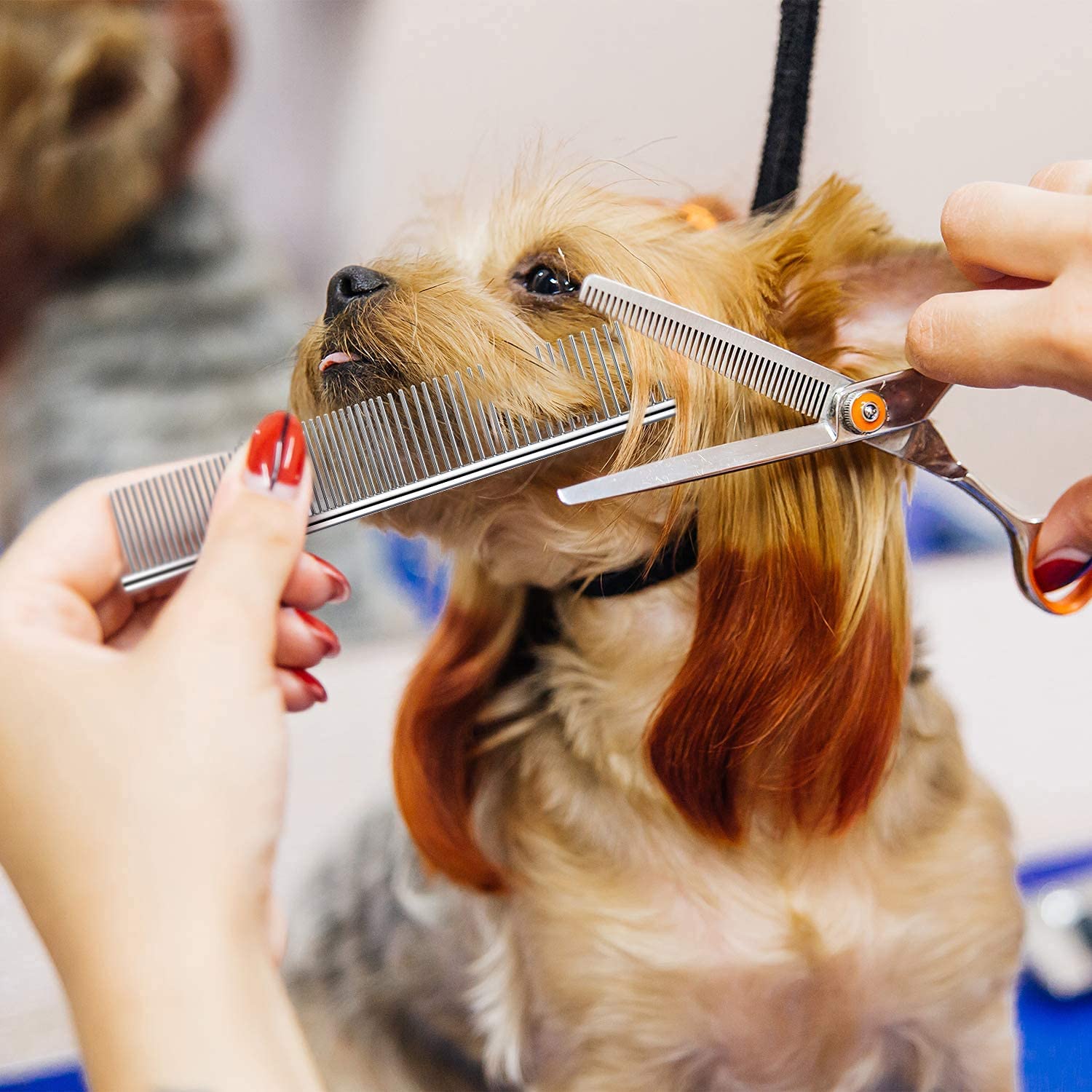 Dog Combs for Grooming, Metal Cat Comb for Long Haired | Removing Tangles and Knots, Professional Grooming Tool for Long Haired Dog, Cat and other pets - view 6