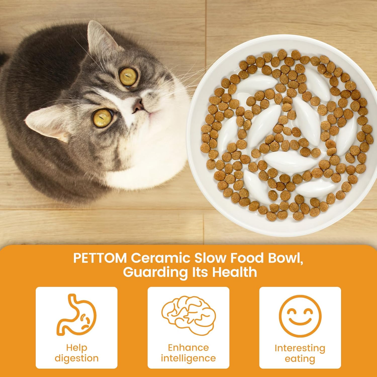 Slow Feeder Cat Bowl with Stand, Ceramic Slow Eating Cat Bowl with Higher Edges Fish Pool Design Elevated Food Bowls for Dry and Wet Food Anti-Vomiting Puzzle Feeder for Healthy Eating Diet - view 7