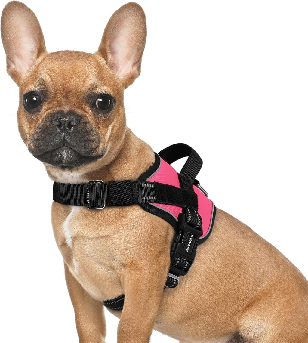 Dog Harness for Small, Easy On Pet Vest with One Buckle, No Pull Adjustable Service Harness with D-Ring & Handle, Reflective for Safety Walking, Training, Blue, S - view 3