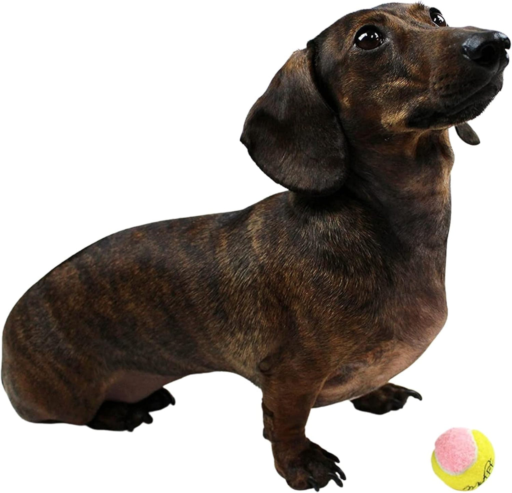 X-Small Dog Tennis Balls 1.5" Pack of 12 | Puppy Mini Fetch, Pet Little Tennis Balls, Yellow/Pink - view 2