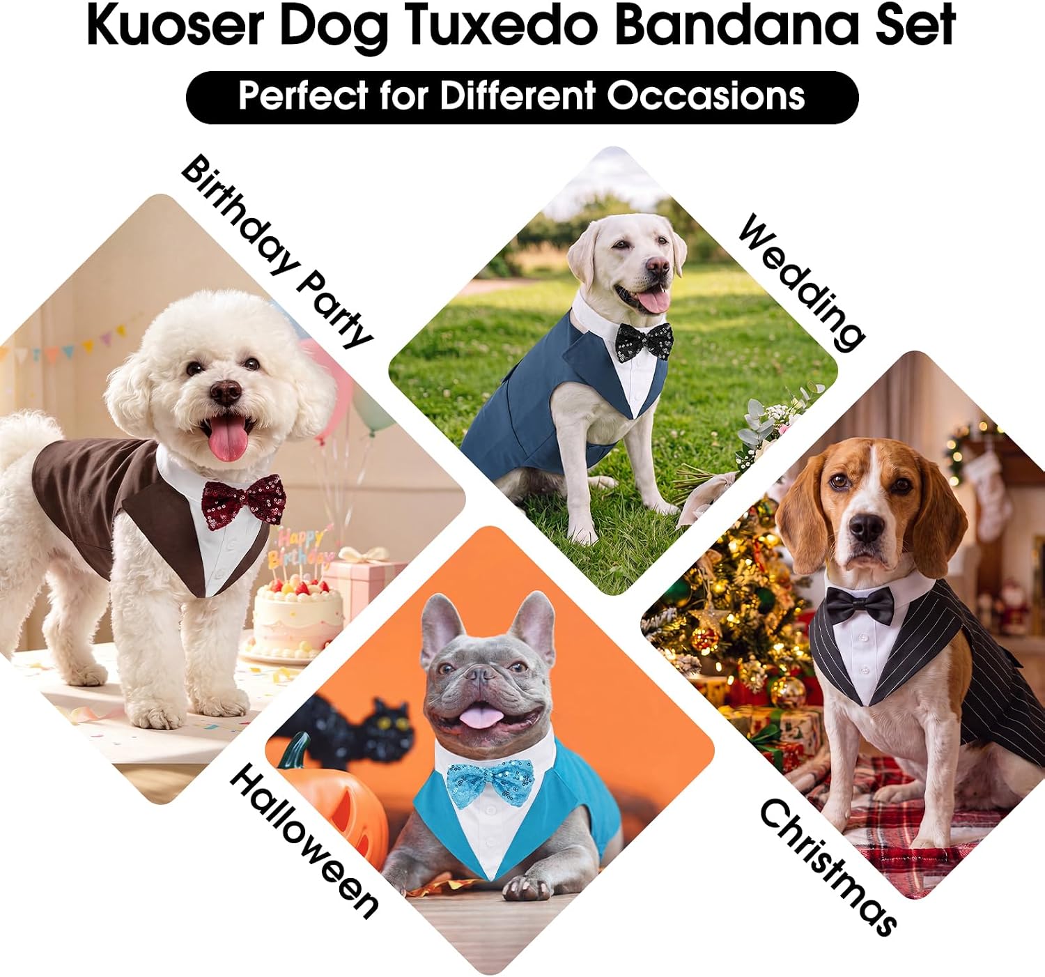 Dog Tuxedo, Dog Suit and Bandana Set, Dogs Costume with D-Ring | Formal Dog Outfit with Detachable Bowtie Collar for Wedding, Birthday, Party, Christmas, Halloween, Royal Blue M - view 7