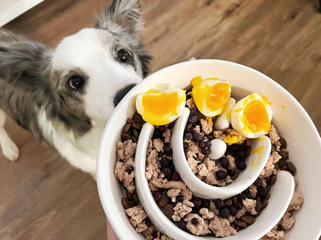 Slow feeder dog bowl - 1.5 cups ceramic puzzle feeder for small & medium breeds, maze design bowl for puppy & fast eaters, white pet dish to control eating speed - view 2