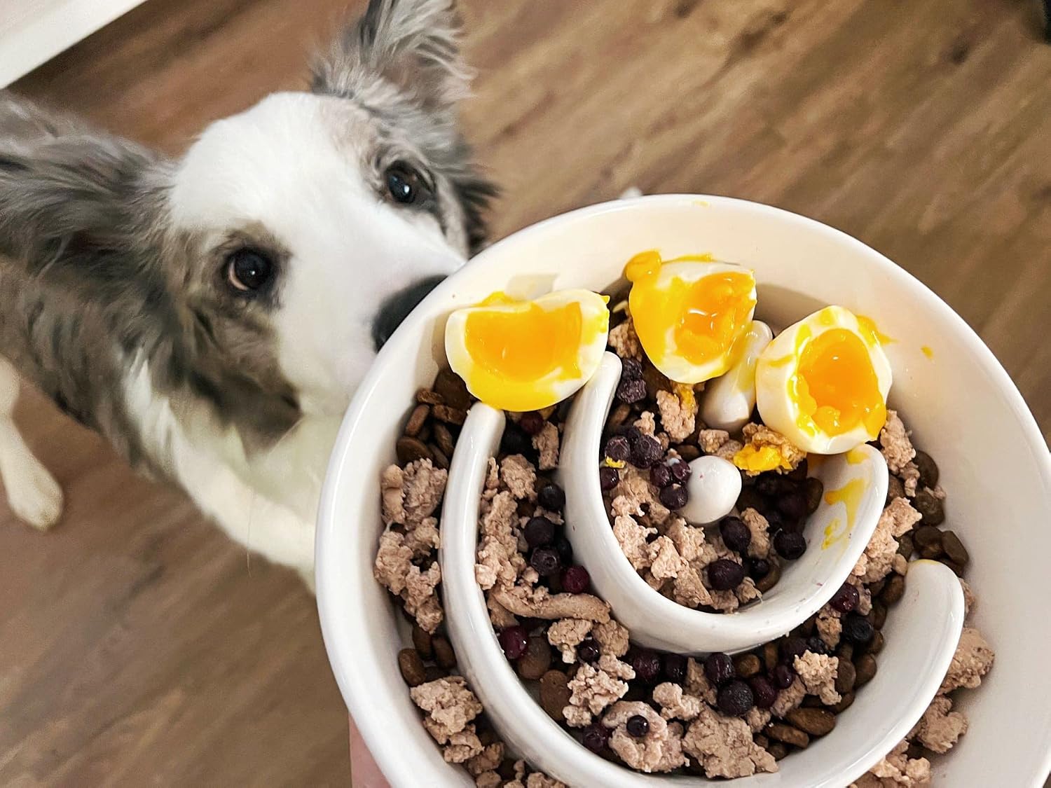 Slow feeder dog bowl - 1.5 cups ceramic puzzle feeder for small & medium breeds, maze design bowl for puppy & fast eaters, white pet dish to control eating speed - view 2
