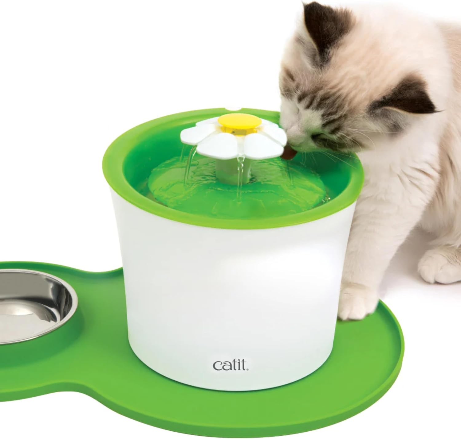 Peanut Shape Cat Placemat, Green | 17.5” x 11.4”, Medium, Model: 44012 - view 5
