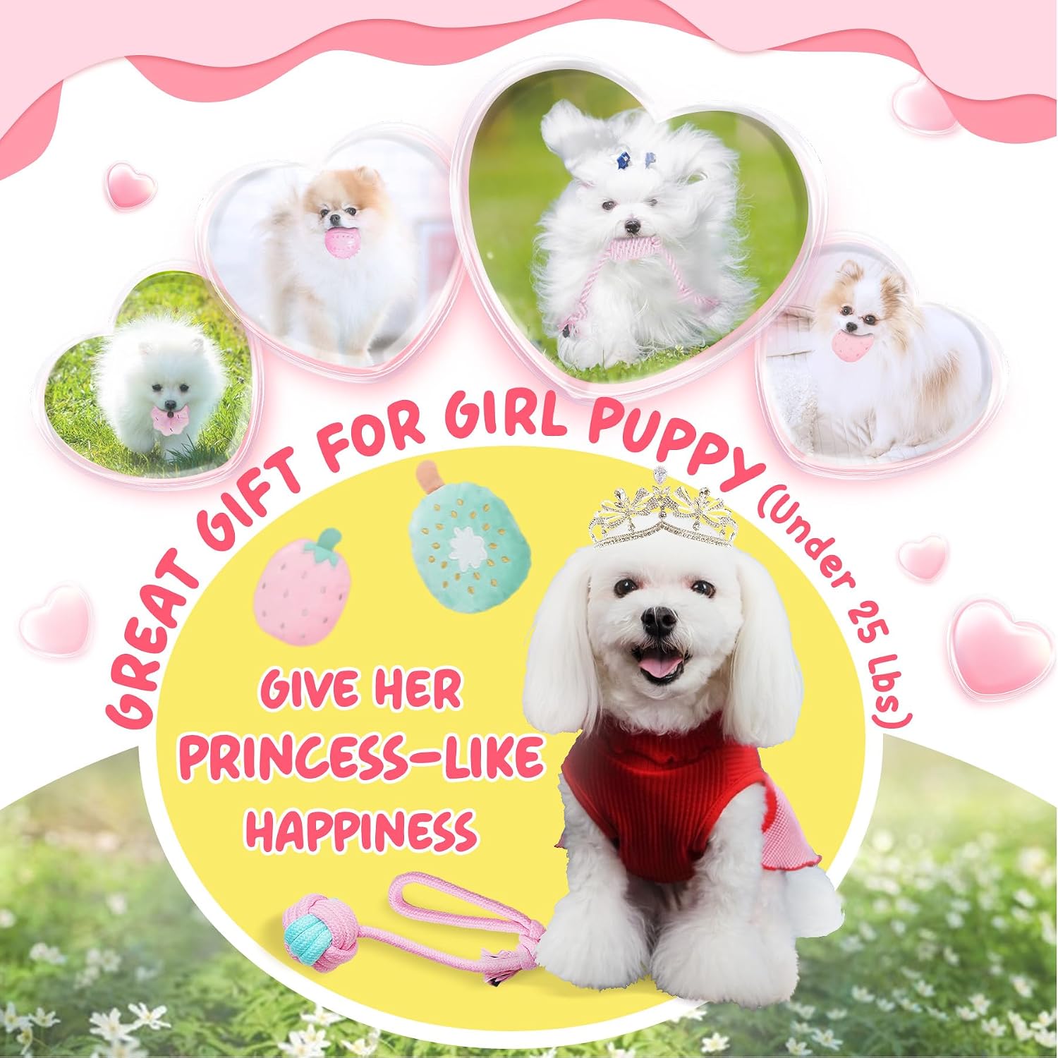 Pink Puppy Toys for Boredom - 23 Pack Puppy Chew Toys for Teething, Interactive Dog Toys for Puppies, Cute Small Dog Toys with Treat Ball, Squeaky Dog Chew Toys and Ropes - view 2