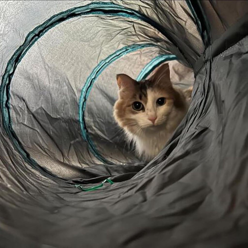 Cat Tunnel for Indoor Cats, 5 Way Cat Tubes and Tunnels Collapsible S-Shape Small Animal Tubes Kitty Tunnels Interactive Maze Cat Toy for Kitten Rabbit Ferret - 5 Way - view 8