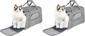 FluffyDream Pet Travel Carrier Soft Sided Portable Bag for Cats, Small Dogs, Kittens or Puppies, Collapsible, Durable, Airline Approved, Travel Friendly (Grey, 17.0" L x 10.0" W x 11.0" H) (Grey)