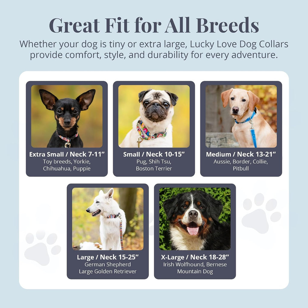 Collar for Large Dogs Cute Adjustable – Blackbird, Large | Cute Dog Collars for Large Dogs | Adjustable Nylon Collar with Easy Click Buckle & Weatherproof D-Ring - view 2