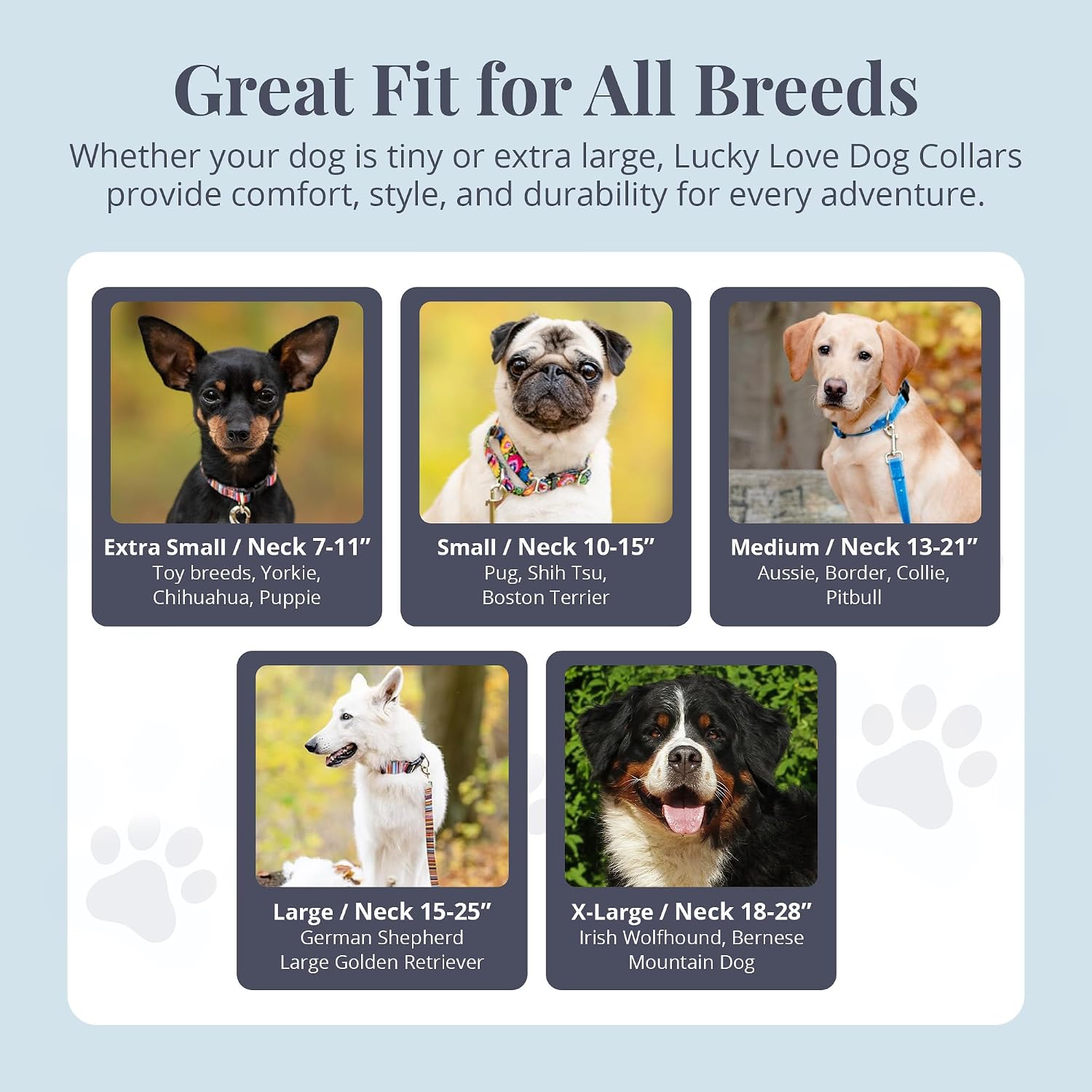 Collar for Large Dogs Cute Adjustable – Blackbird, Large | Cute Dog Collars for Large Dogs | Adjustable Nylon Collar with Easy Click Buckle & Weatherproof D-Ring - view 2