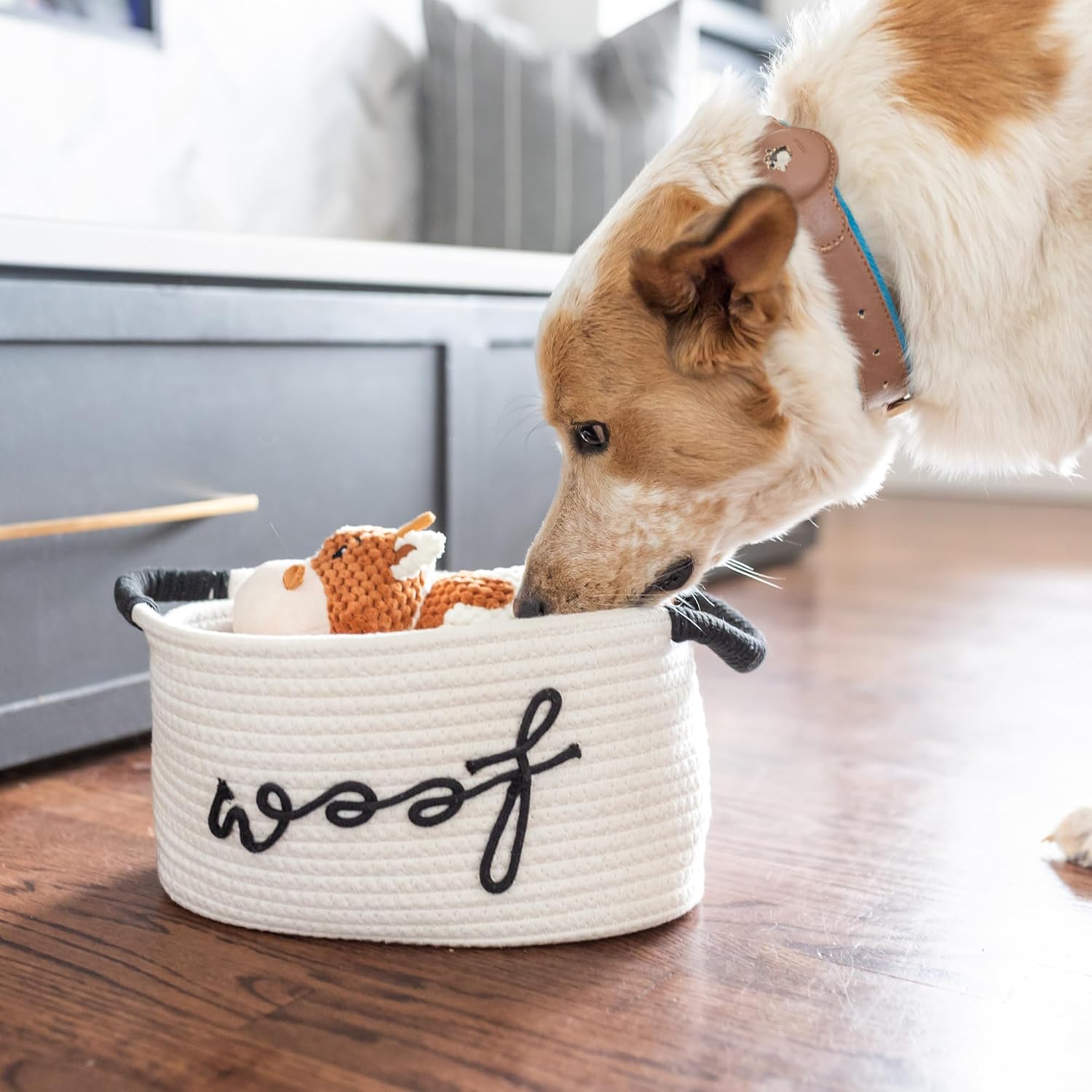 New puppy gift basket - premium puppy starter kit and dog gift basket with dog toys - perfect doggie birthday gifts and puppy necessities with pet toy basket - view 5