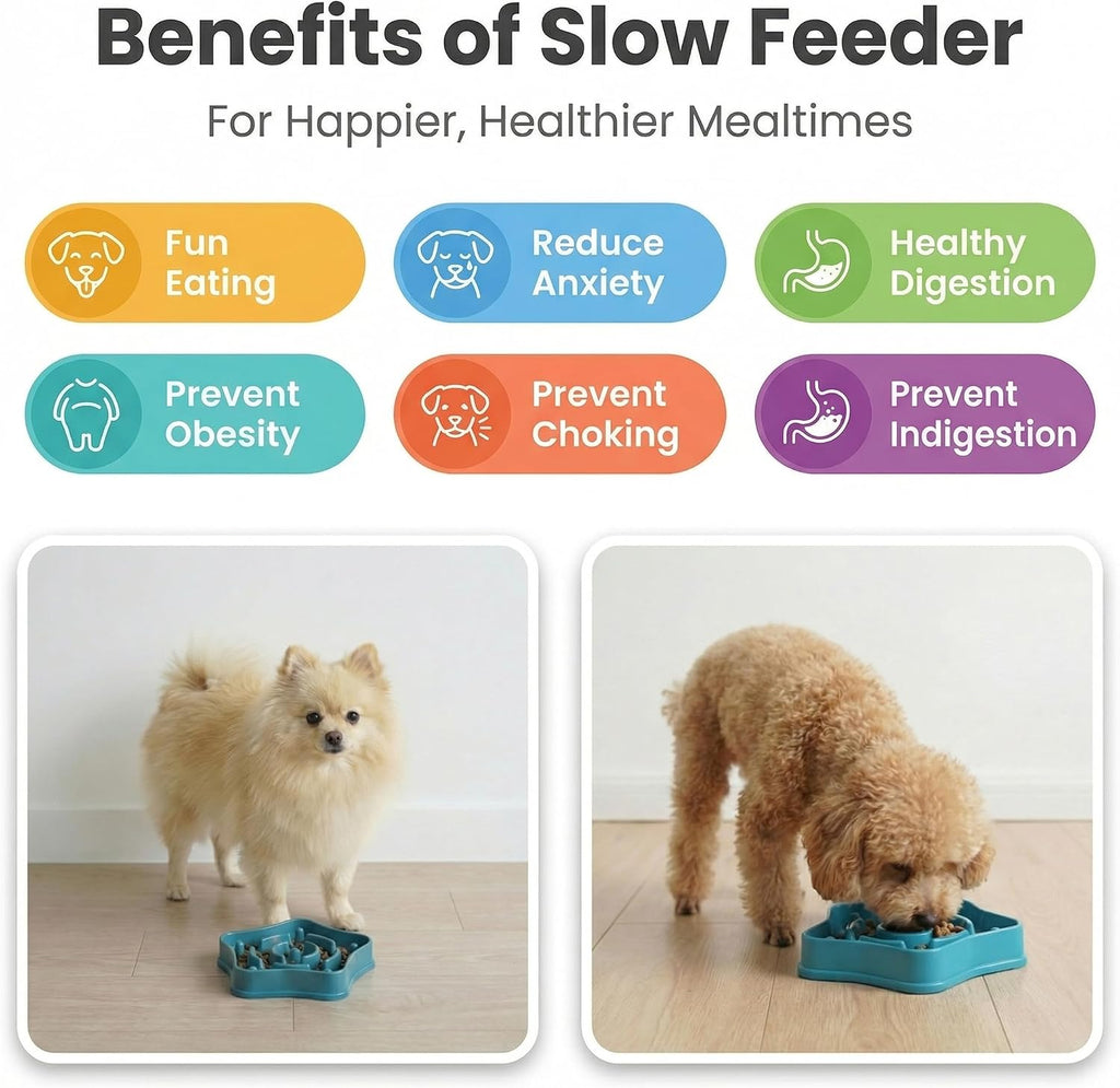 Pet slow feeder bowl for small dogs, puzzle feeder for petite dogs, anti-choking, slow eating, 350ML capacity, BPA-free, small size - view 6