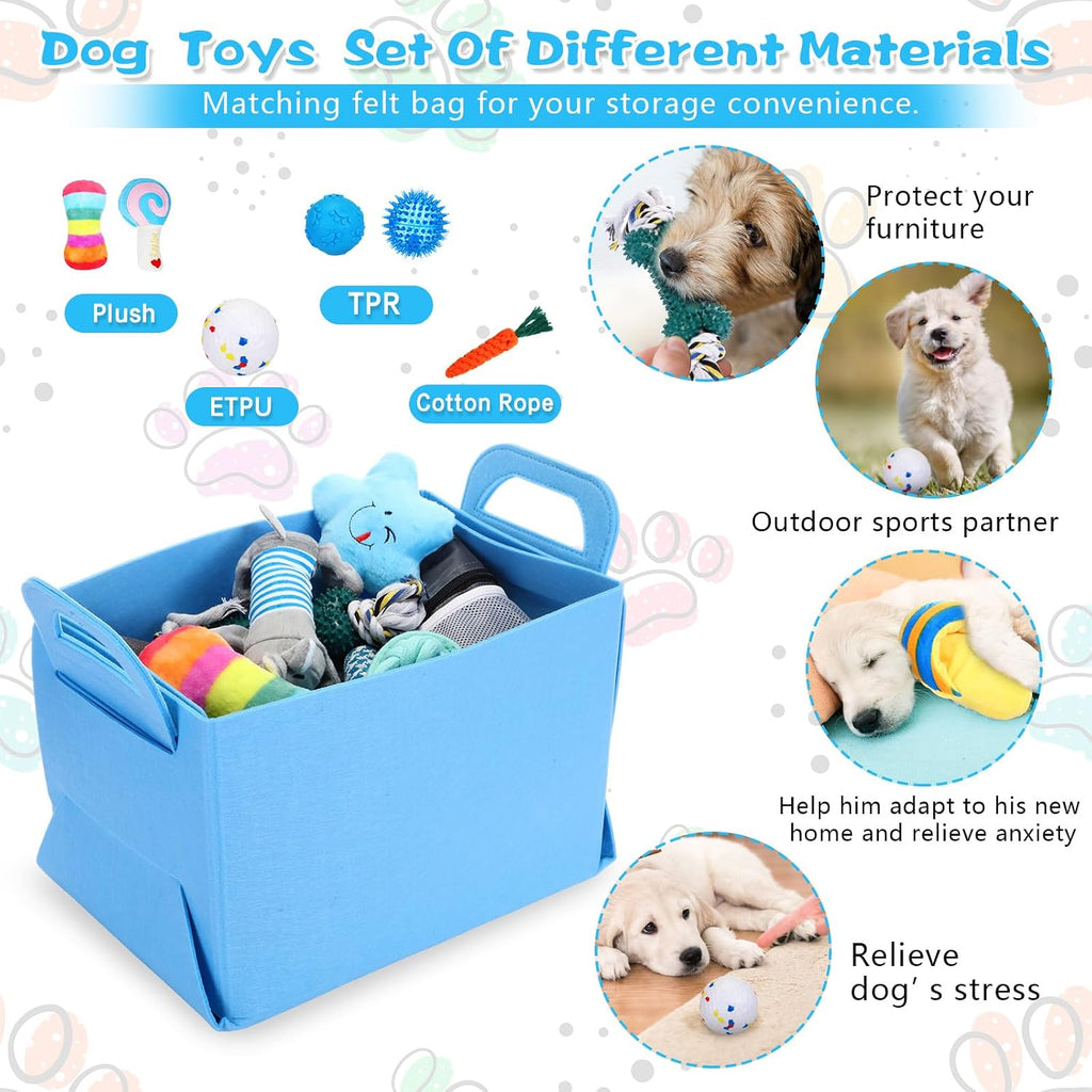 65 pcs puppy supplies starter kit small dog essentials includes dog leash, toys, bowl, brushes, water bottles, pet blankets puppy accessories for new welcome gift supplies (cool, blue) - view 4
