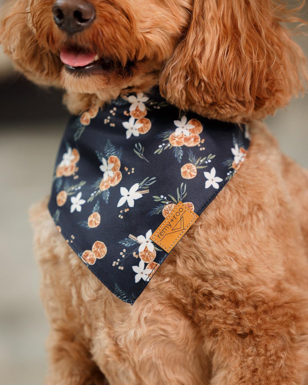 Clementine Dog Bandanas Large - 2 Pack - Floral | Summer Collection | Premium Polyester Fabric | Adjustable Patented Fit | Large 2 Pack - view 7