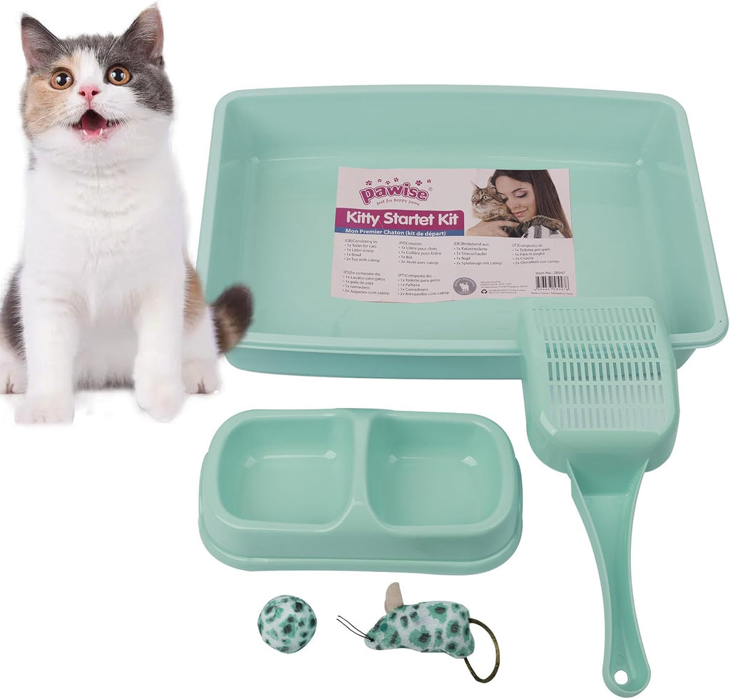 Small Cat Litter Box,14.3 x 10.6 x 2.5 Kitten Litter Box Starter Kit,Low Entry Baby Kitten Training Litter Box with Scoop,Bowls,Cat Mouse Toy and Ball Toy,First Catty Owner Essentials (Green)