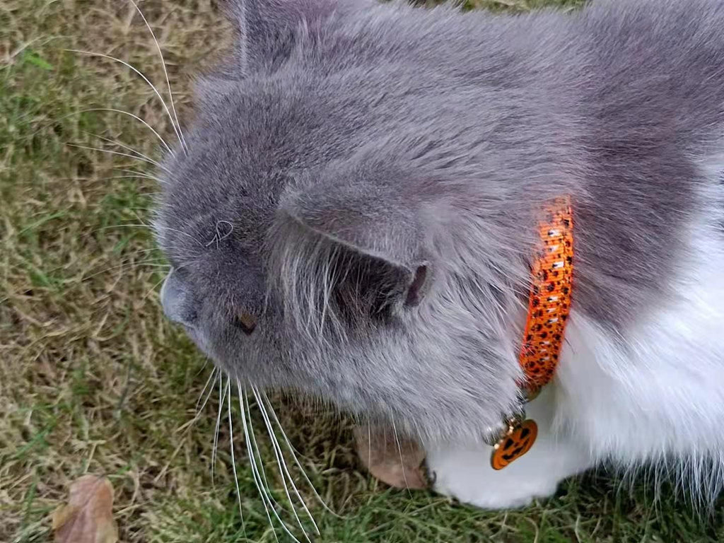 Halloween cat collar, 2 pack breakaway cat collar with bells, pumpkin and ghost charm, Halloween orange+black - view 6
