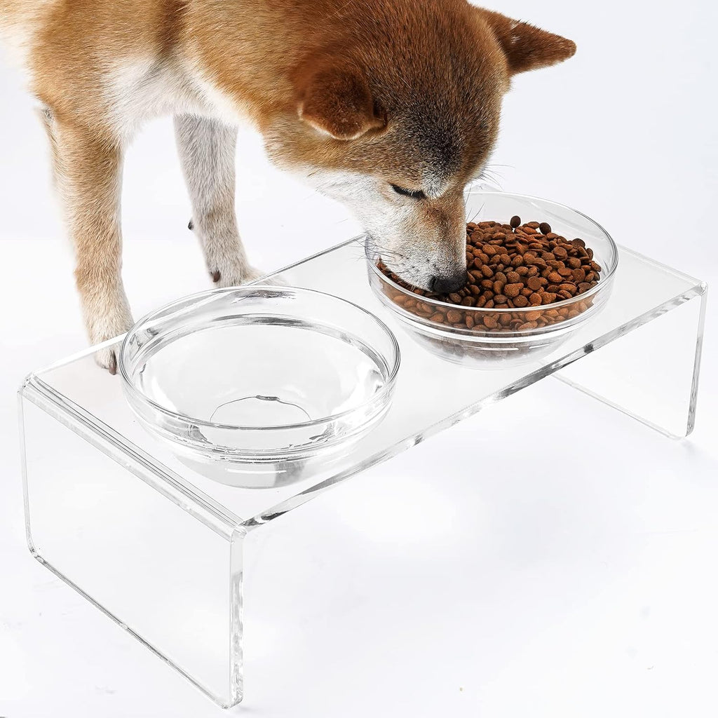 Acrylic elevated dog cat bowls pet feeder double bowl raised stand comes with 2 removable glass bowls and 2 stainless steel bowls. Perfect for medium dogs, 5.5" tall - view 2