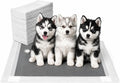 8 Layer Pet Training Pads | Ultra-Absorbent with Activated Carbon / Charcoal Technology | Pee Pads | Max Absorbency for Any Pets | Leak Prevention | Fragrance-Free | Unscented | Attractant | 40 Count