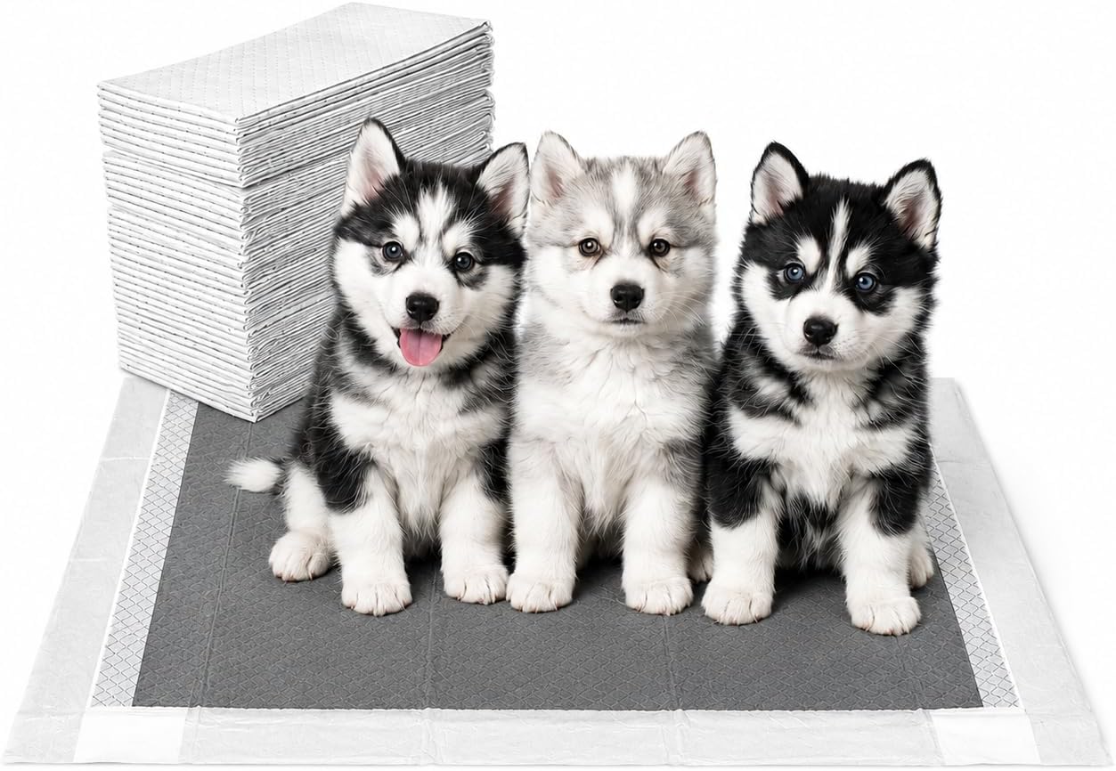 8 Layer Pet Training Pads | Ultra-Absorbent with Activated Carbon / Charcoal Technology | Pee Pads | Max Absorbency for Any Pets | Leak Prevention | Fragrance-Free | Unscented | Attractant | 40 Count