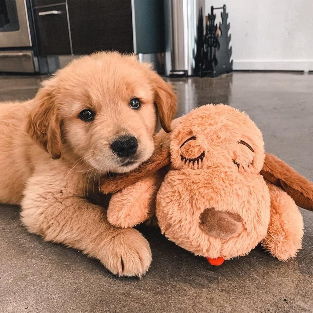 Essentials starter kit, heartbeat toy & blanket, biscuit, calming comfort toy, puppy blanket, teething toy, 3 heat packs, new puppy essentials for first nights and crate training - view 2