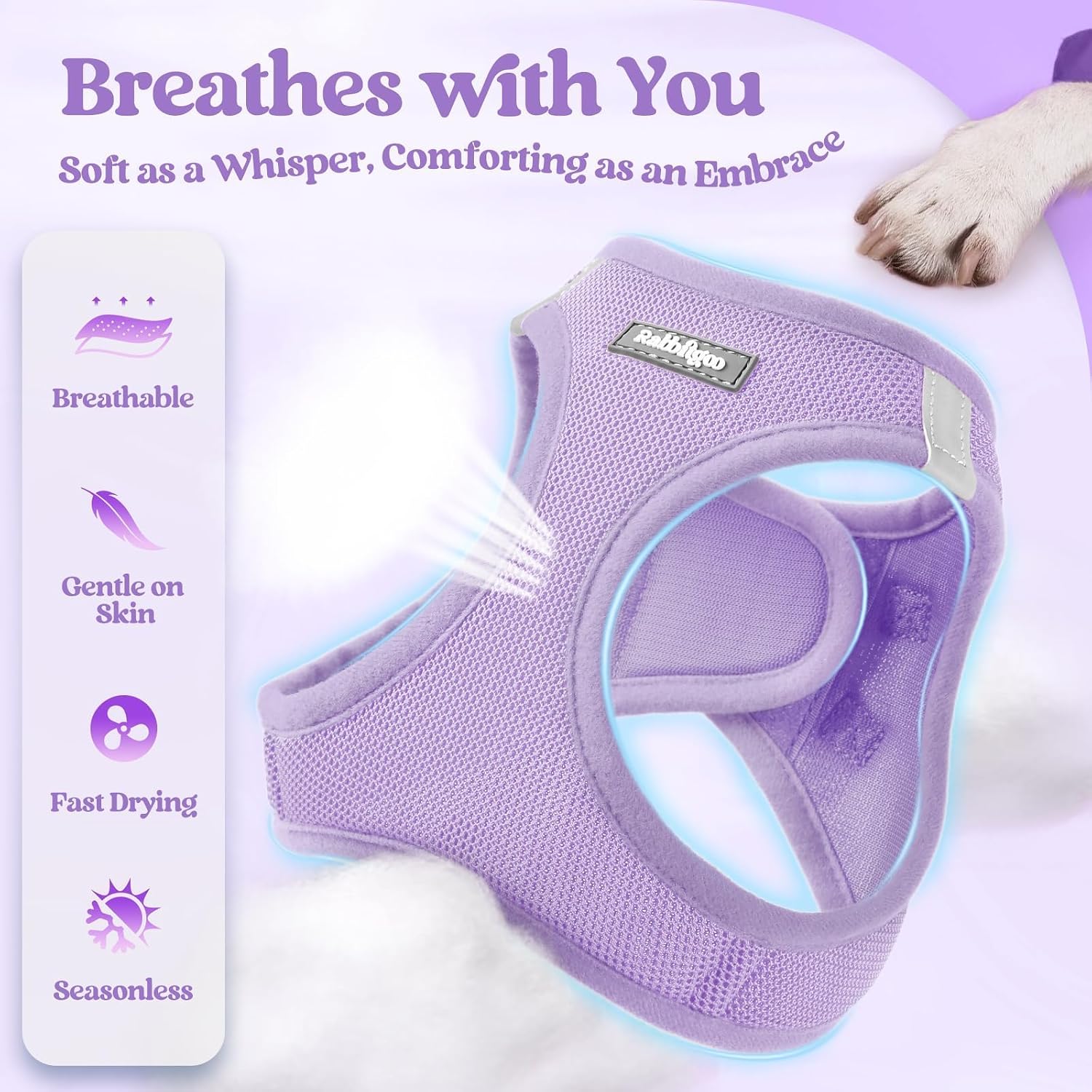 Dog Harness Small Sized and Leash Set, Step-in Puppy Pet Vest | Light, Soft, Breathable Air Mesh, Easy on and Remove with Hook & Loop, Secure Reflective for Walking, Light Purple XXS - view 4
