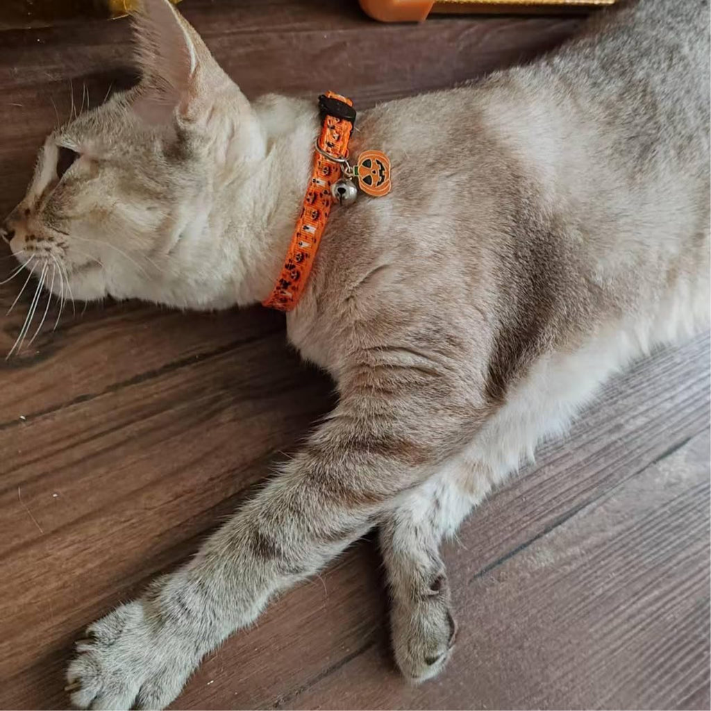 Halloween cat collar, 2 pack breakaway cat collar with bells, pumpkin and ghost charm, Halloween orange+black - view 5
