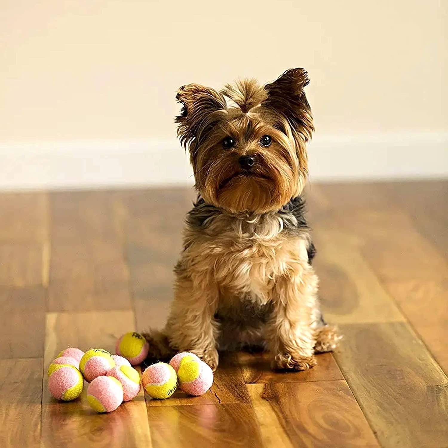 X-Small Dog Tennis Balls 1.5" Pack of 12 | Puppy Mini Fetch, Pet Little Tennis Balls, Yellow/Pink - view 4