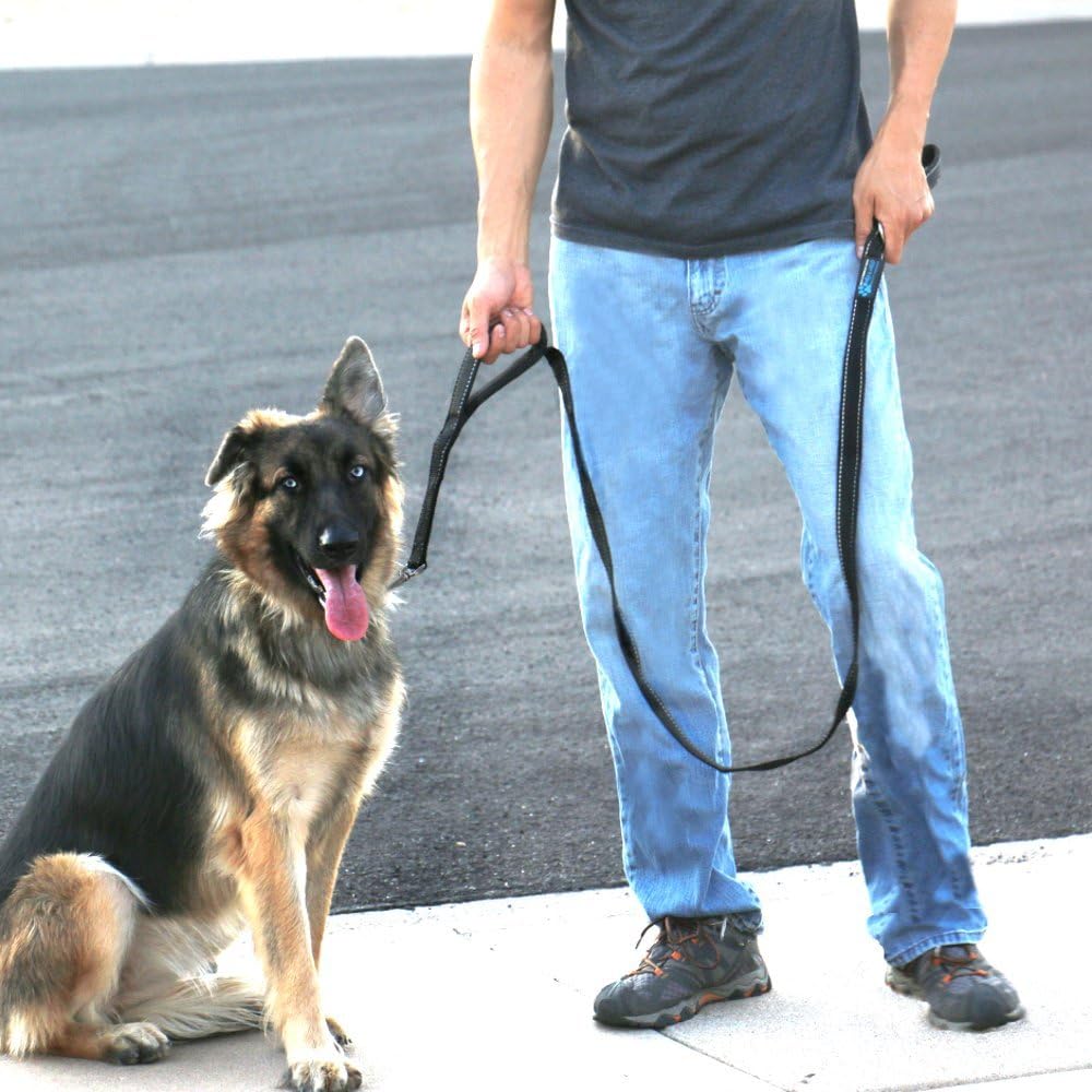 Double Handle Traffic Dog Leash - Reflective, Donates to Dog Rescue (Black, 6 FT) - view 2