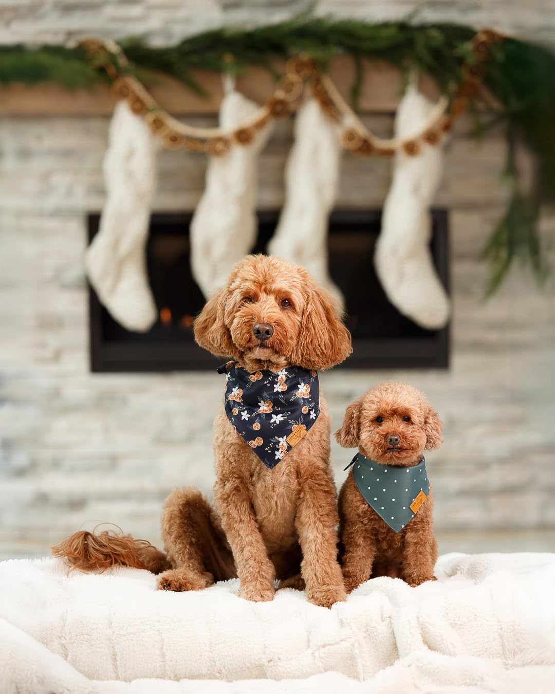 Clementine Dog Bandanas Large - 2 Pack - Floral | Summer Collection | Premium Polyester Fabric | Adjustable Patented Fit | Large 2 Pack - view 5
