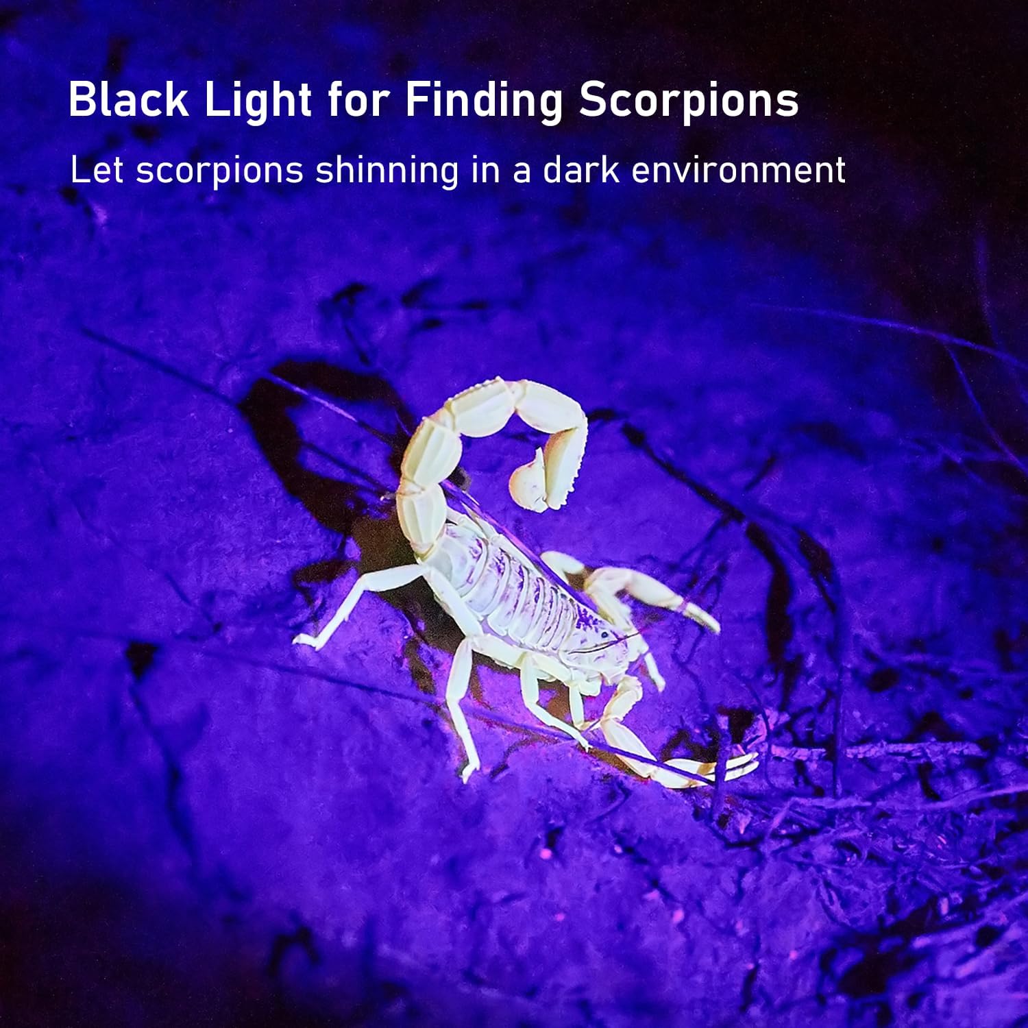 UV flashlight black light, 100 LED black light flashlight for dog/cat pet detector, scorpions finder - view 4