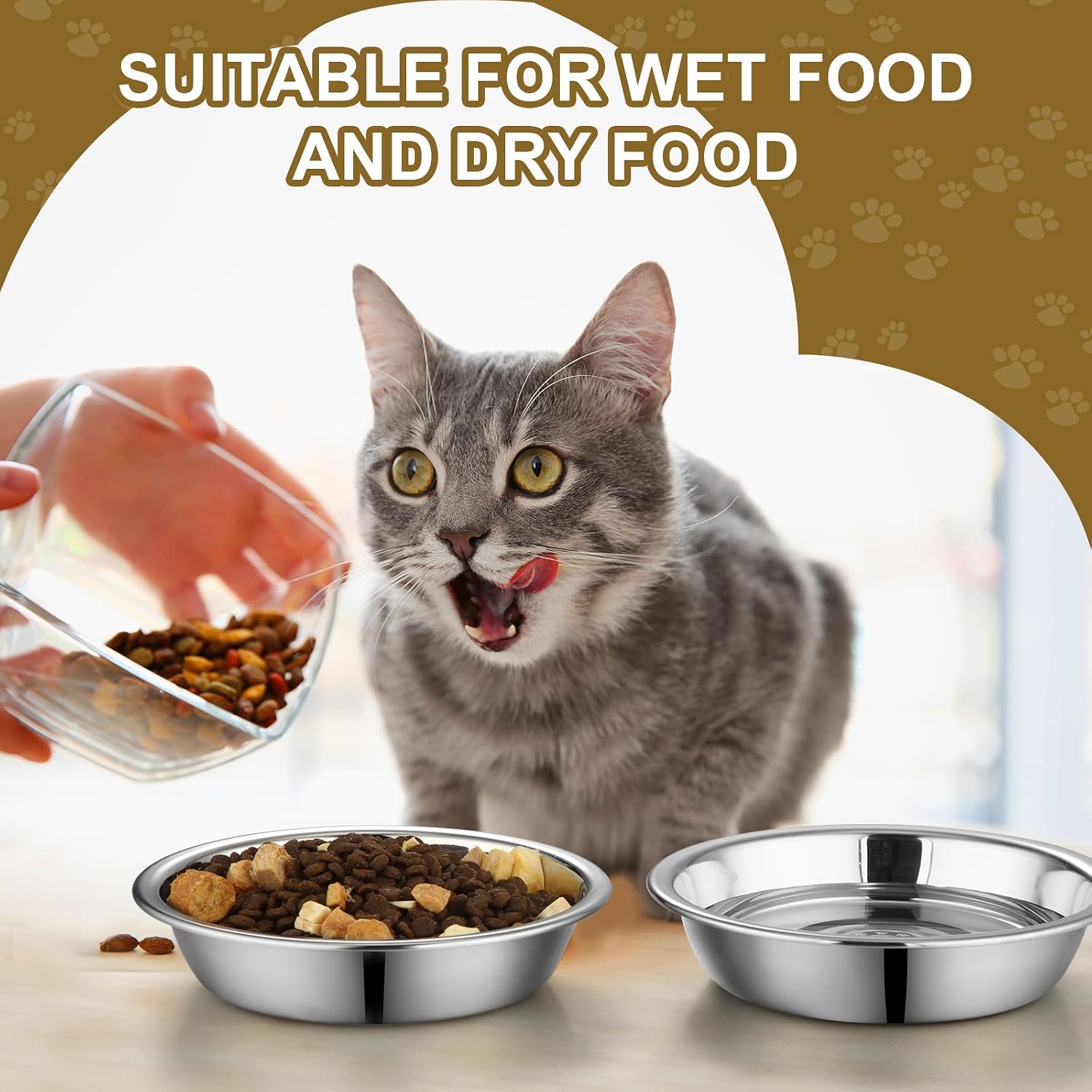 10 Pcs Stainless Steel Cat Bowls Bulk, Small Dog Shallow Food Bowls Replacement Metal Cat Dishes for Pet Food and Water, Dishwasher Safe(5.5 Inch Diameter) - view 5