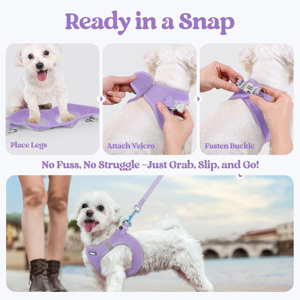 Dog Harness Small Sized and Leash Set, Step-in Puppy Pet Vest | Light, Soft, Breathable Air Mesh, Easy on and Remove with Hook & Loop, Secure Reflective for Walking, Light Purple XXS - view 8