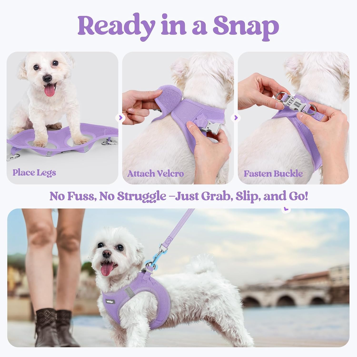 Dog Harness Small Sized and Leash Set, Step-in Puppy Pet Vest | Light, Soft, Breathable Air Mesh, Easy on and Remove with Hook & Loop, Secure Reflective for Walking, Light Purple XXS - view 8