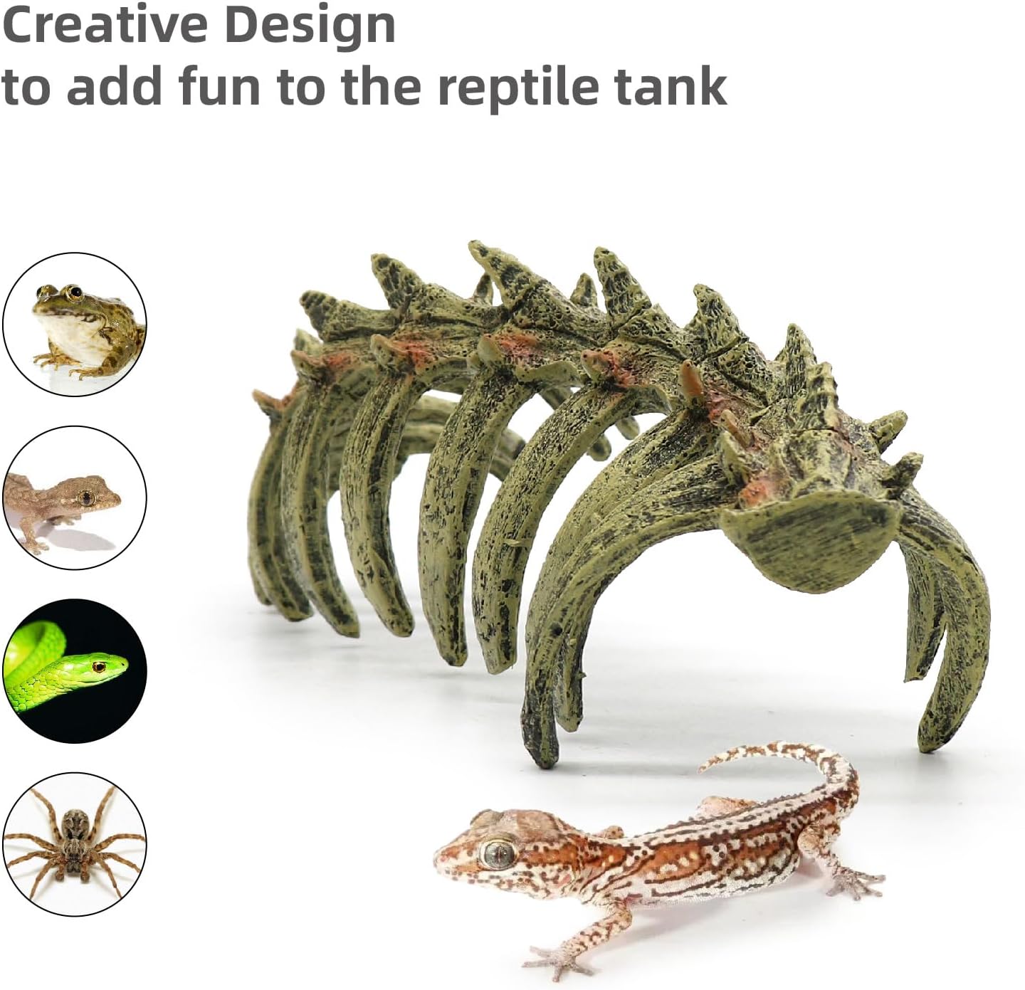Aquarium Skull Animal Skeletons, Reptile Tank Accessories, Fish Tank Decorations for Amphibians, Betta Fish, Shrimp, Hermit Crab, Leopard Gecko - view 8