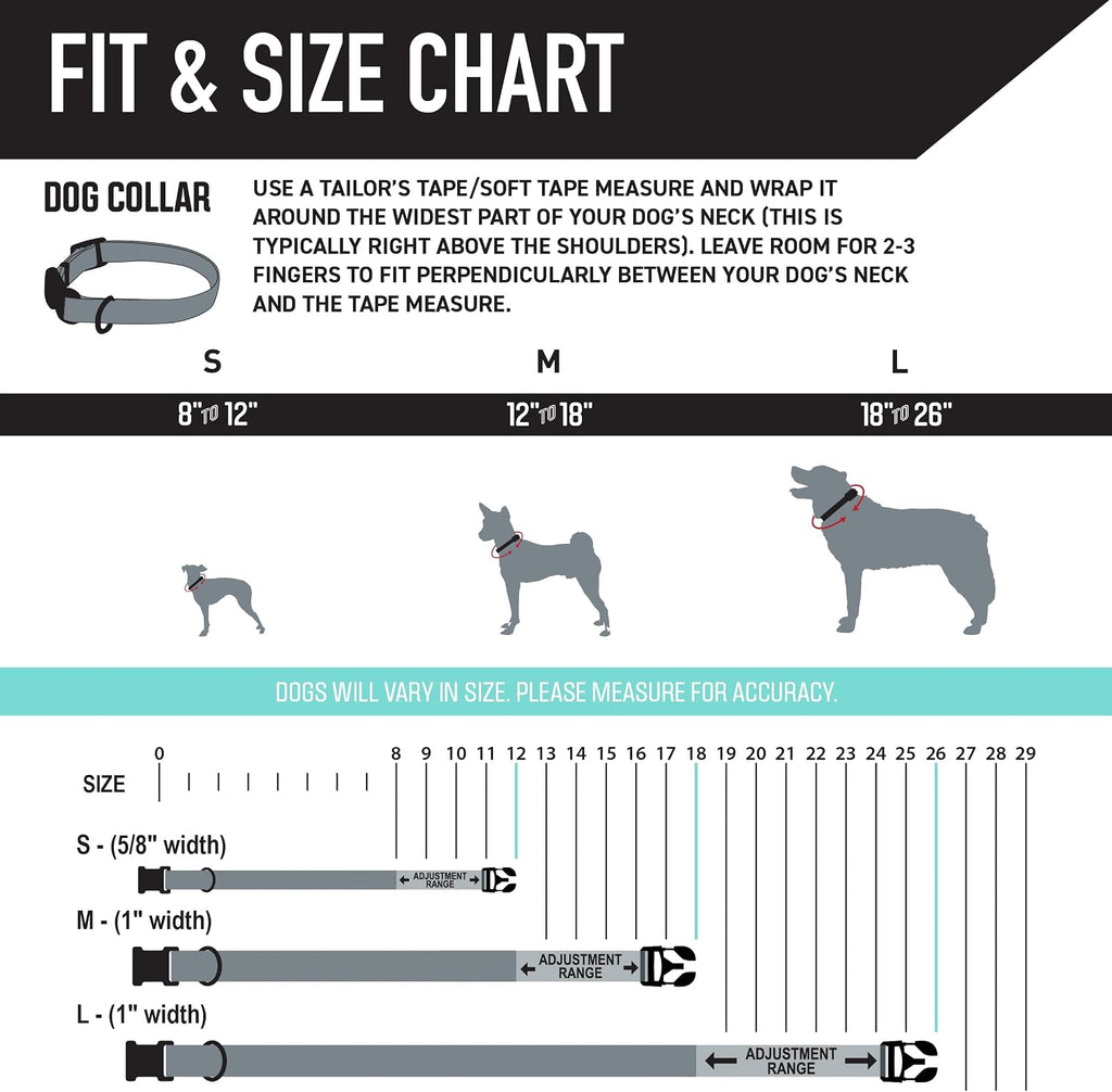 Heavy duty, adjustable dog collar with quick release nylon buckle for walking & training, sunsetpalms print, medium - view 4