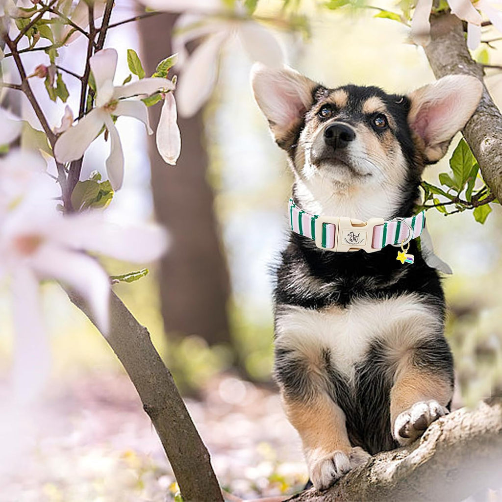 Dog collar, cute pink with green strip pattern pet collars soft girl or boy adjustable cotton puppy collar with quick release buckle for small puppy - view 5