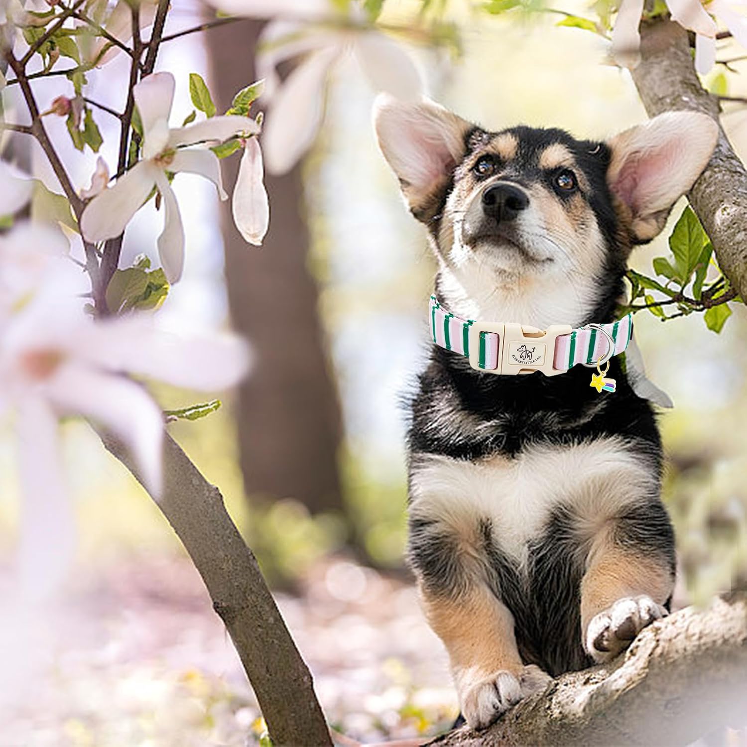 Dog collar, cute pink with green strip pattern pet collars soft girl or boy adjustable cotton puppy collar with quick release buckle for small puppy - view 5