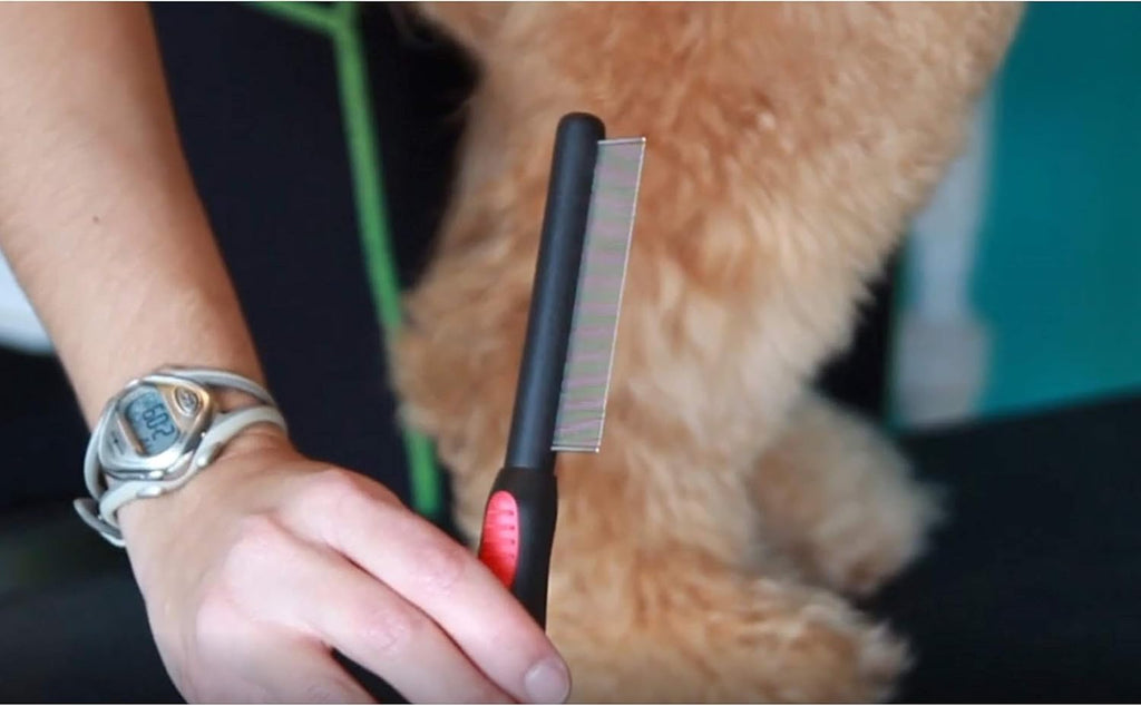 Paw Brothers Flea Comb for Small and Large Dogs and Cats with Handle, Professional Dog Grooming Kit and Supplies, Puppy Essentials, Black and Red, 8.8 Inches - view 4