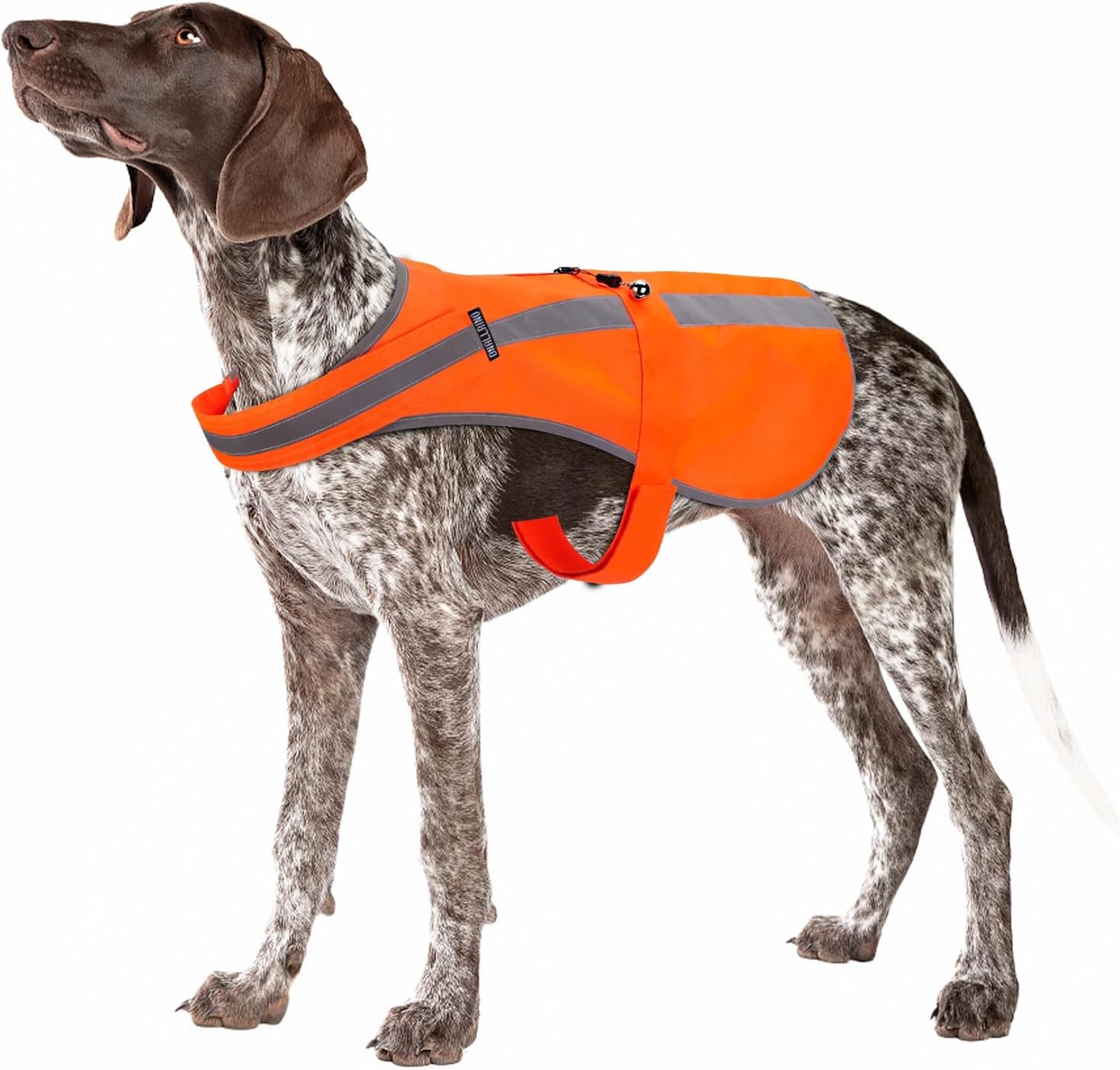 Reflective Dog Vest for Medium Large Breeds, High Visibility Dog Safety Vest with Removable Bell Keep Safe from Hunting, Training & Cars Accidents - view 7