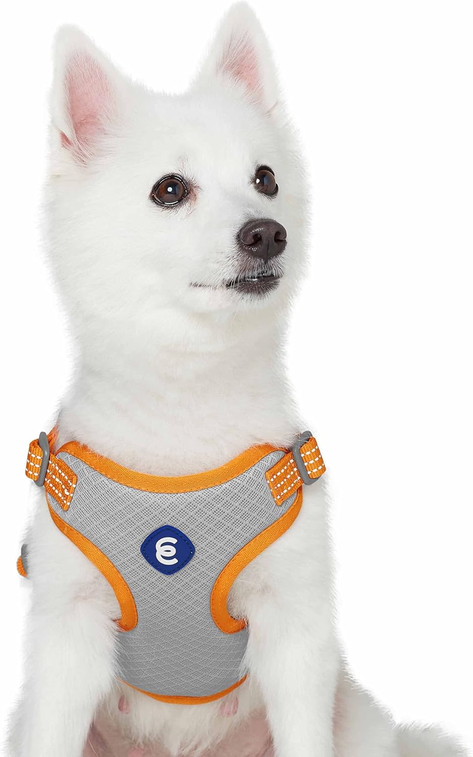 Essentials Dog Harness - Reflective Dog Harness for Large Dogs, Mauve Orchid, Adjustable Vest with Breathable Mesh, Safety Harness for Night Walkers, Outdoor Pet Safety - view 5