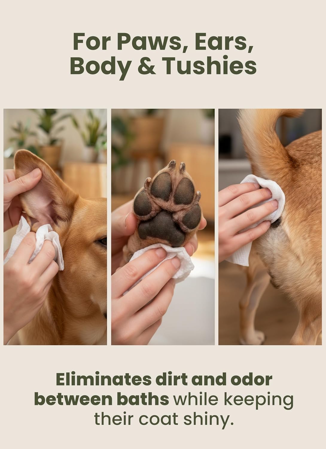 Dog wipes – hypoallergenic pet wipes for paws, body & butt – cleaning & hydrating, green tea scent, 240 count - view 7