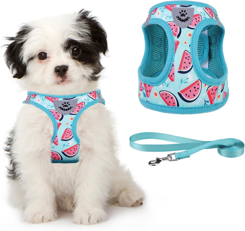 Small Dog Harness and Lead Set, Soft Mesh Plaid Puppy Harness with Safety Buckle, Adjustable & Comfortable Padded Reflective Vest for Puppies and Small Breeds Dogs Walking,Pink,X-Small - view 8