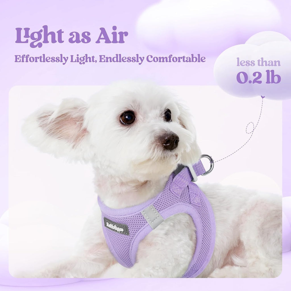 Dog Harness Small Sized and Leash Set, Step-in Puppy Pet Vest | Light, Soft, Breathable Air Mesh, Easy on and Remove with Hook & Loop, Secure Reflective for Walking, Light Purple XXS - view 3