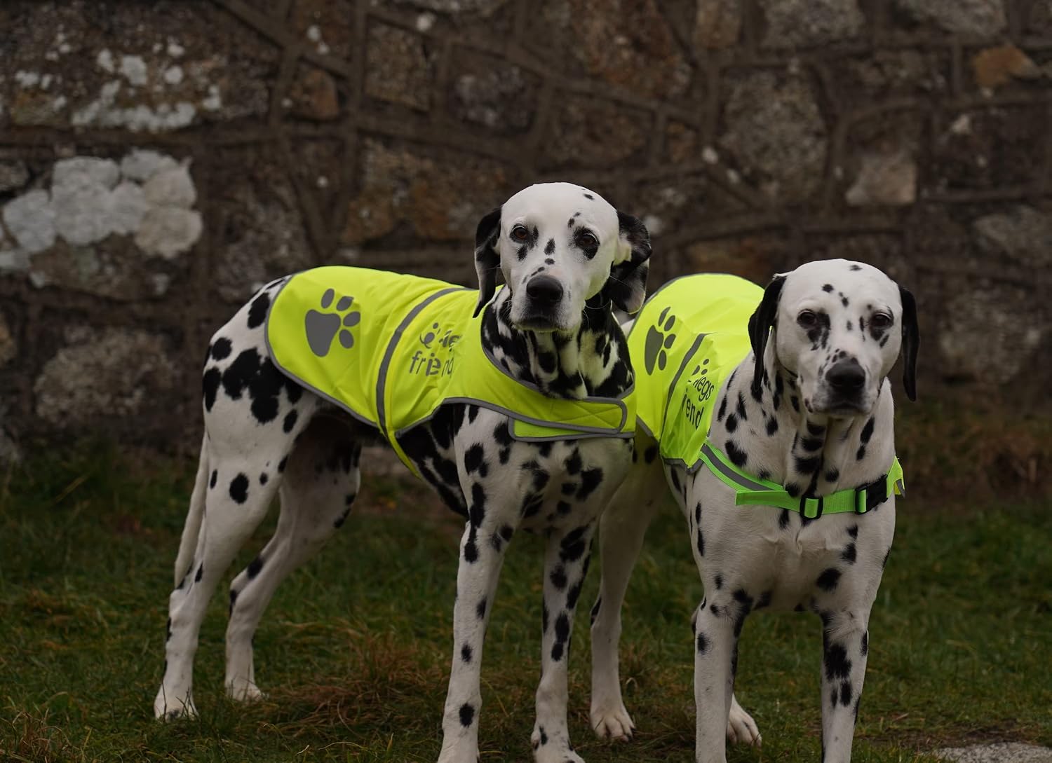 Safety reflective vest for dogs - high visibility for outdoor activity day and night, protect your pet from cars & hunting accidents - view 7